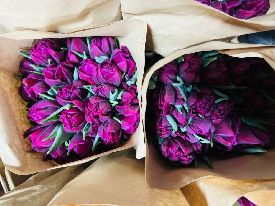 Тюльпаны к 14 февраля и 8 марта!