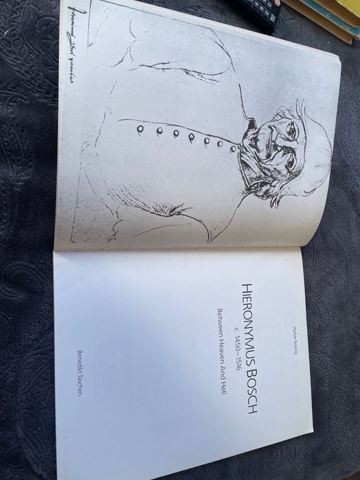 Бош албум картини голям