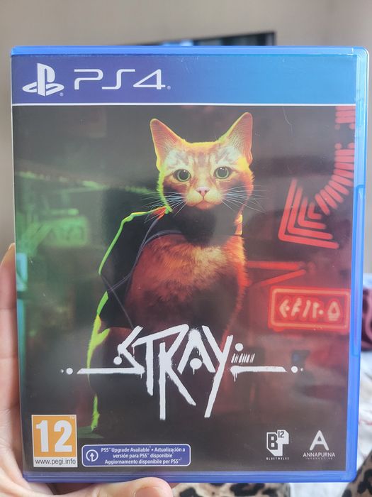 Stray -lost,alone