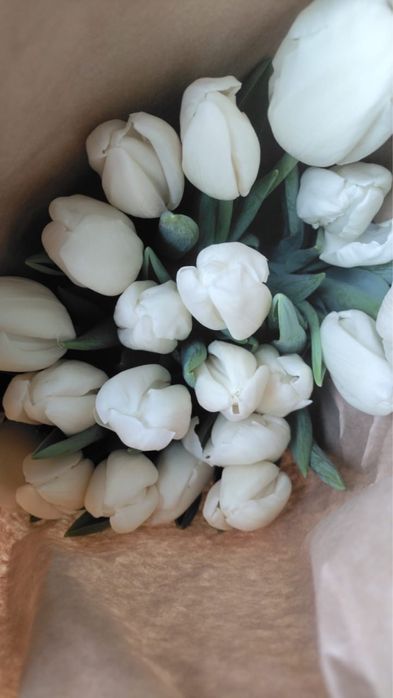 Тюльпаны ОПТОМ Розы Оптом