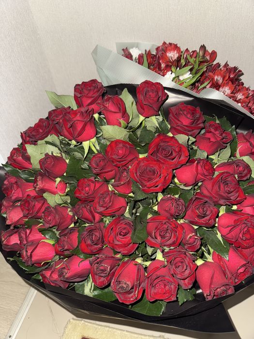 Свежие розы 51 штук