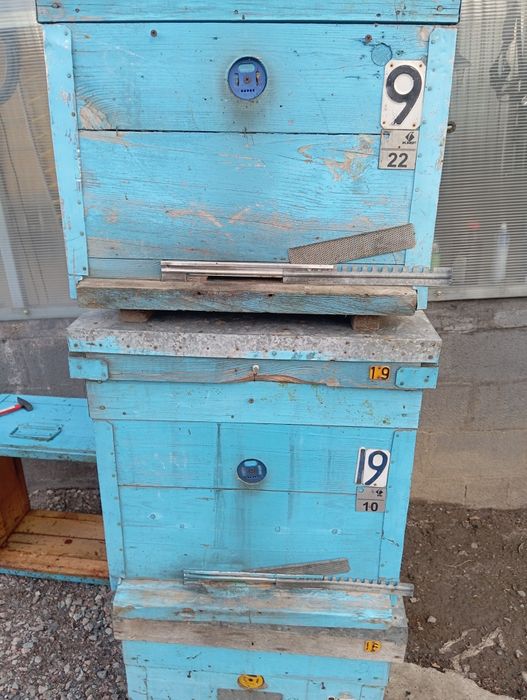 Продам улья системы дадан