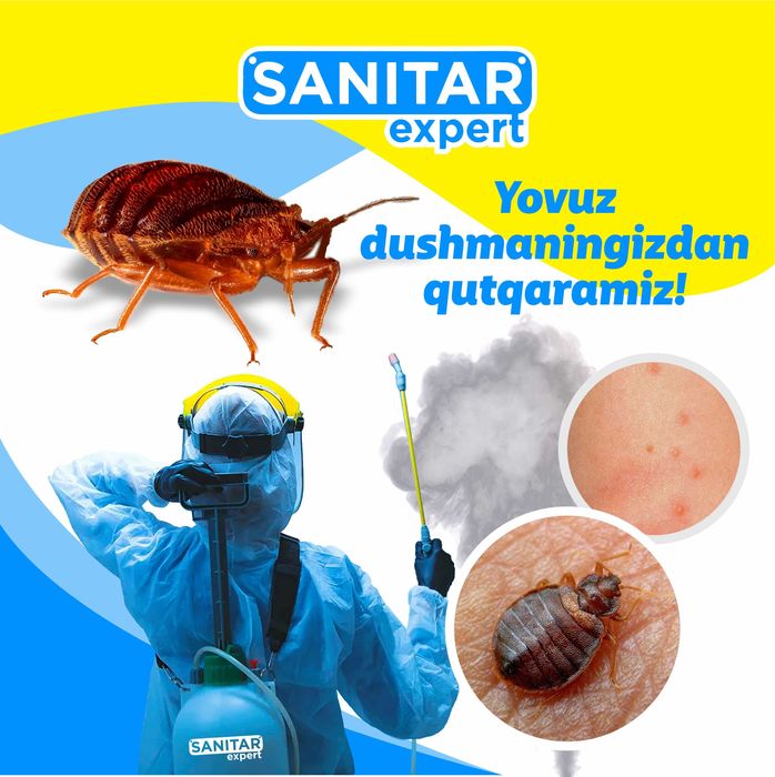 Дезинфекция от клопов