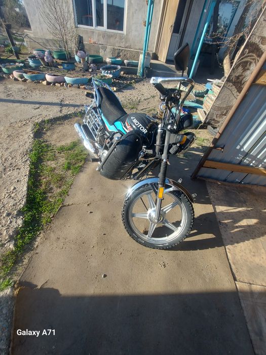 Продам любимчика в хорошие руки