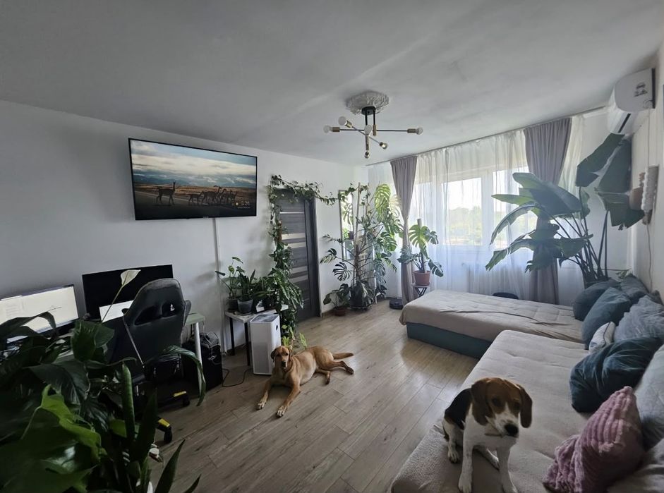Apartament zona Circumvalatiunii