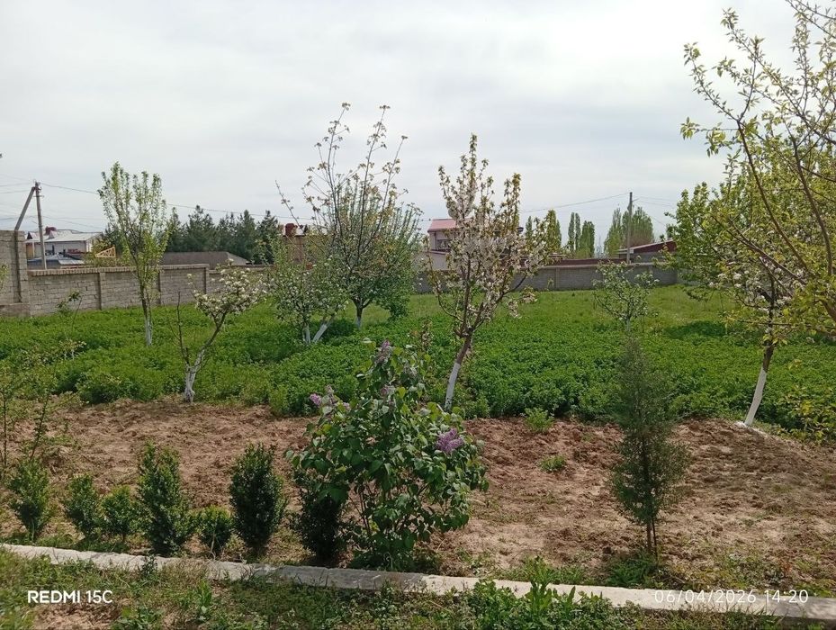 Oqtosh dacha quyoshga yaqin joyda