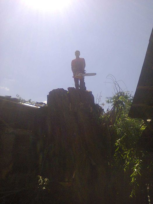 Спил деревьев,санитарная обрезка.