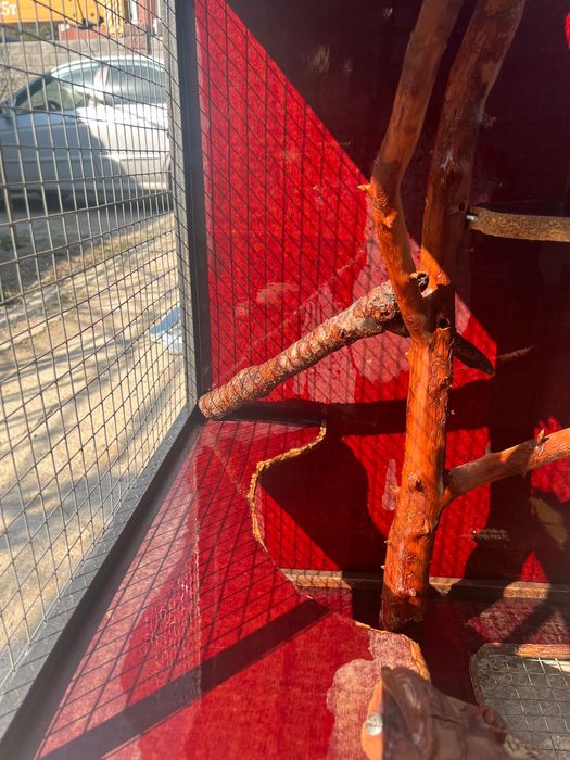 Клетка для животных