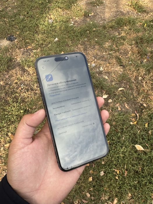 iPhone 15 Pro Max 256gb 100%