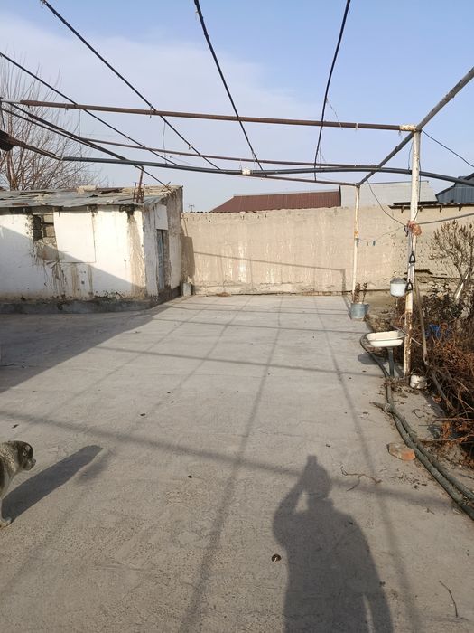 sodikzonberdimurodov