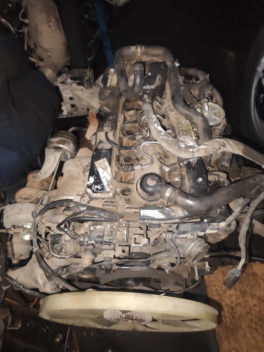 Тез арада срочна