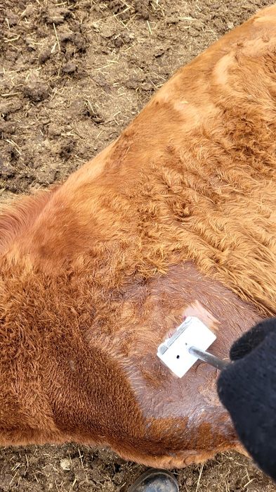 Таңба Азот Табро