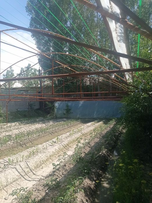 Теплица 2 сотиклик без келёнка