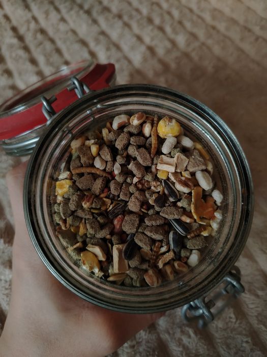 новый корм для хомяков