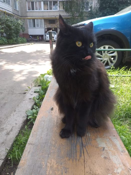 В самые добрые ручки