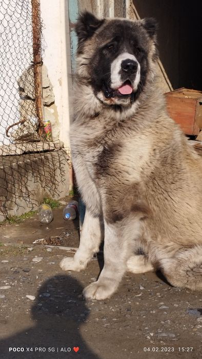 Zoti toz 40 kunligidan ozim katta qilganman