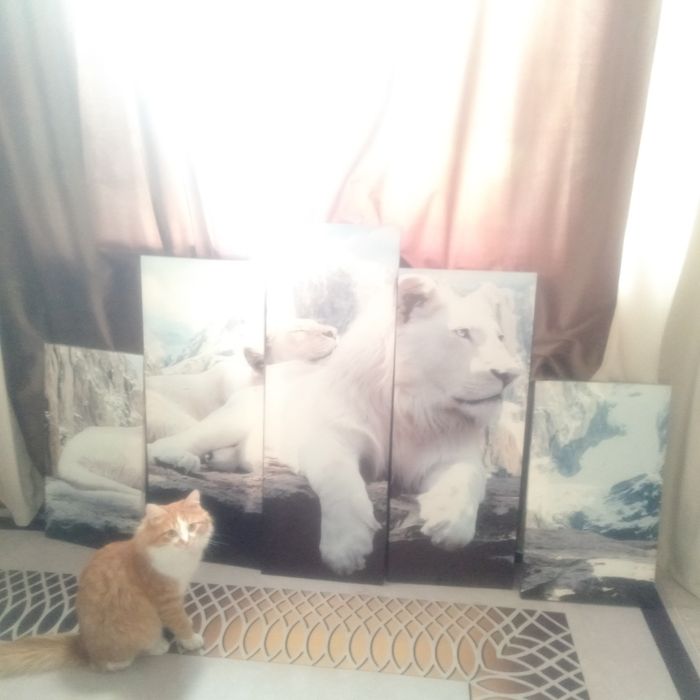 Срочно срочно продам