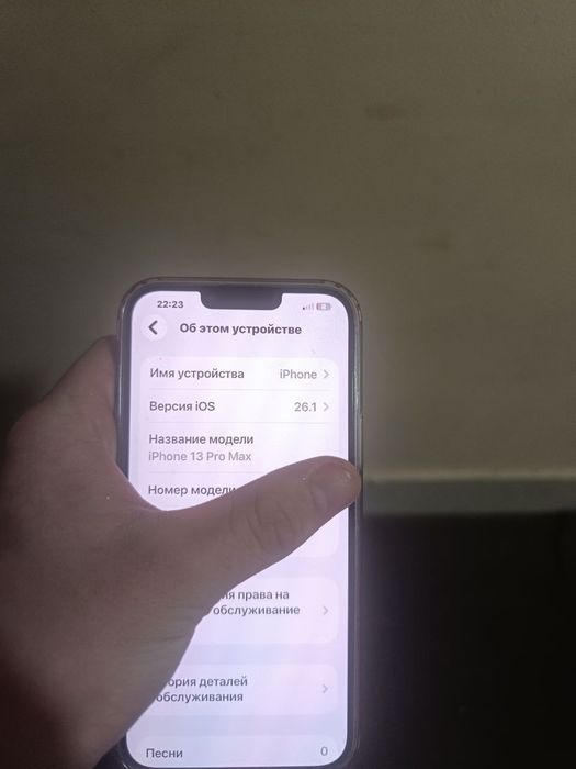 iPhone 13 pro max 256gb