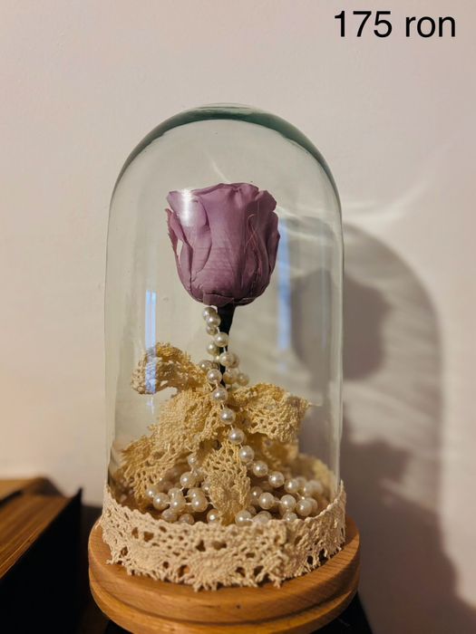 Cadou Tradafir Criogenat Naturali Facut Manual