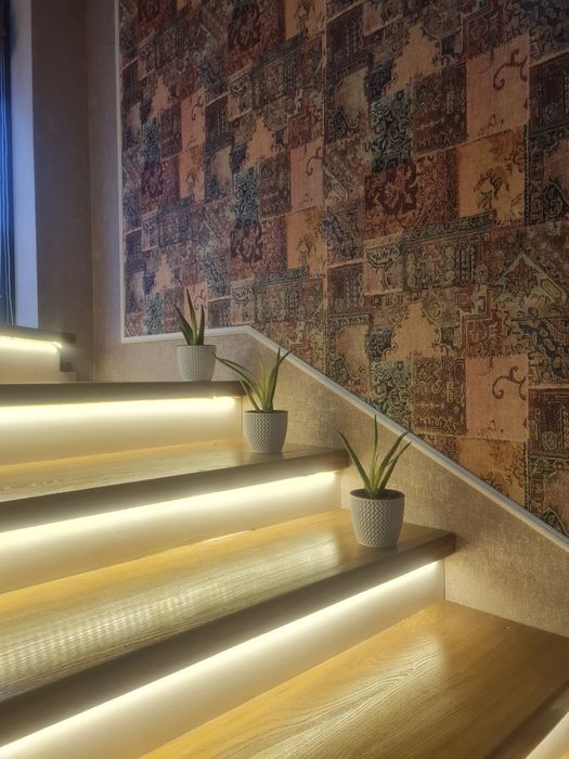 Алое Вера растения!