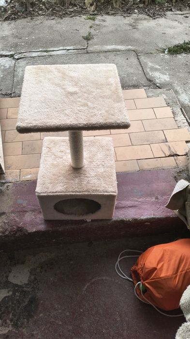 Ansamblu de joacă pentru pisici nou