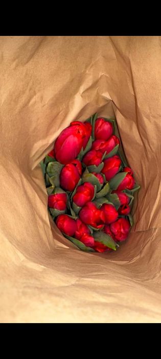 Тюльпаны на 8 марта