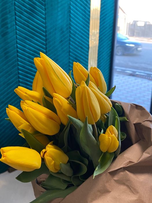 Тараз цветы Голландские тюльпаны