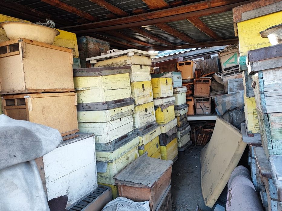 Продам пчелиные улья