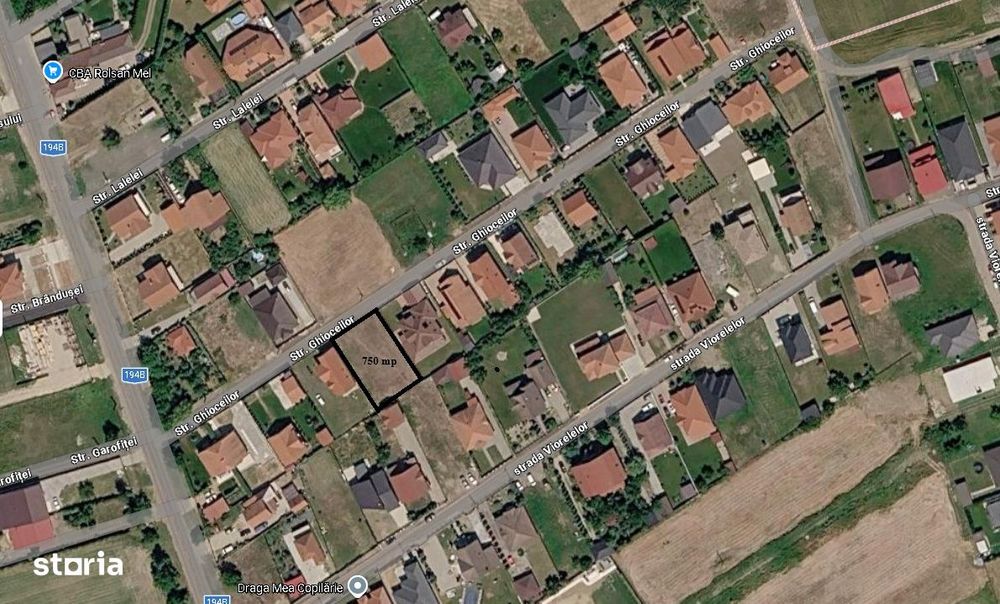 Teren intravilan , loc de casa 750 mp , Vetis