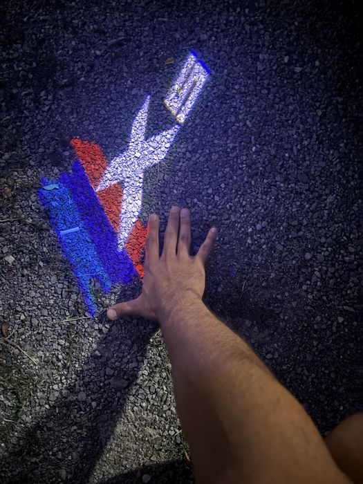 ЛЕД плафони с лого за BMW X5 / X6