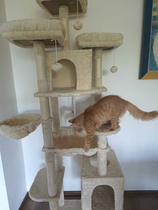 Продавам голяма котешка катерушка/къщичка