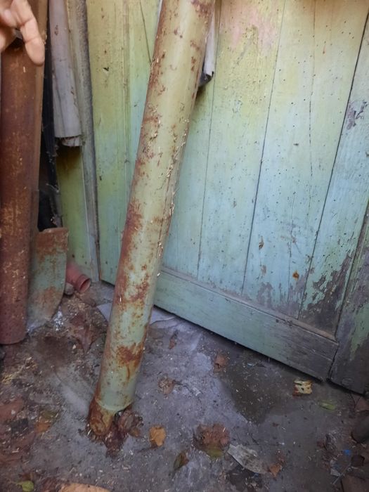 Кардан Варшава, Жук, Ниса