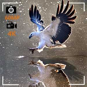 Домашна стерео система с CD плейър,  Bluetooth WISCENT WTB-798