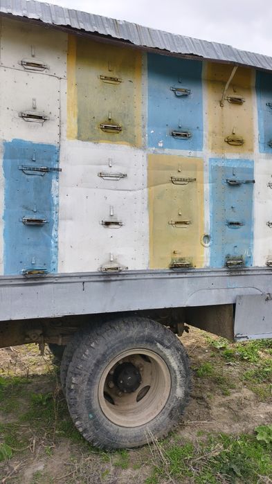 Прицеп пасика в продаже