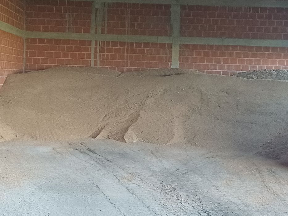 Vand  grau si floarea soarelui recolta 2026  1 leu/kg