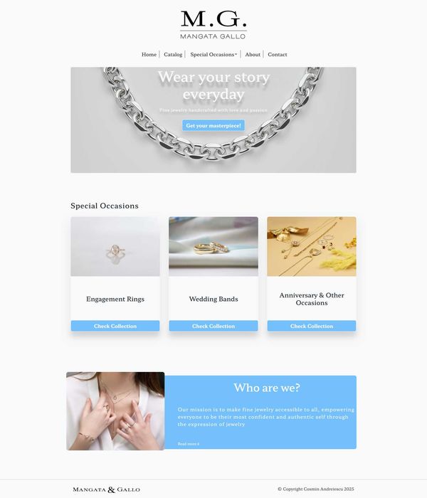 Web Developer - Servicii de Dezvoltare Website si Optimizare SEO