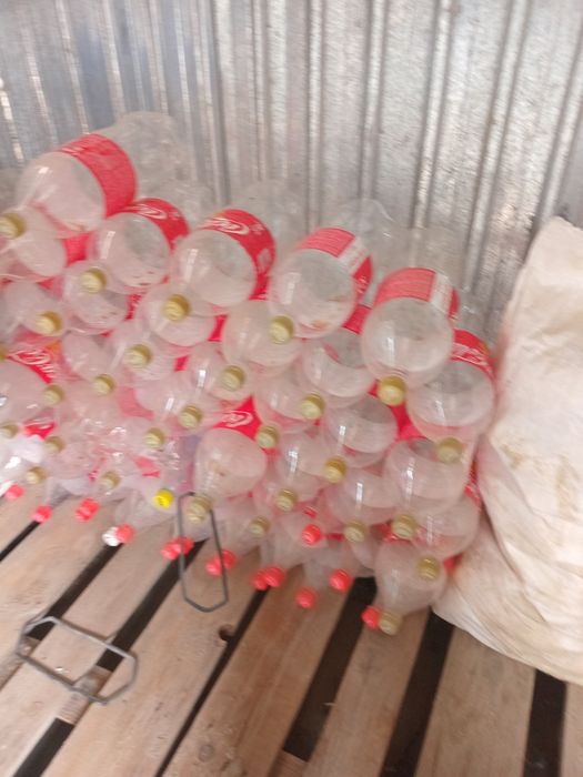 Коланын бутылкалары