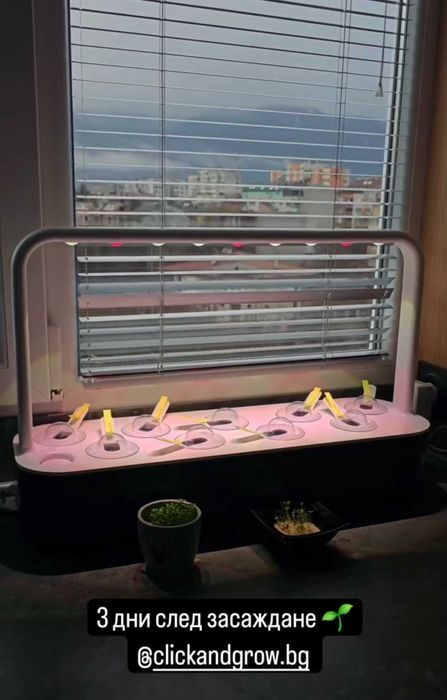 Смарт градинка Click&Grow