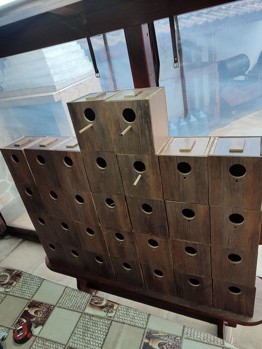 Продавам гнездилки за вълнисти и корели .