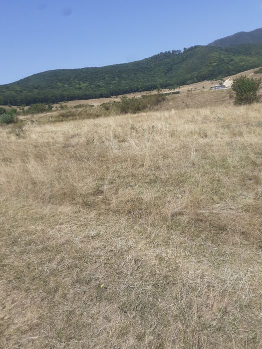 Teren Codlea Brasov