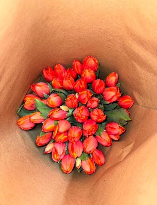 Тюльпаны оптом и в роз