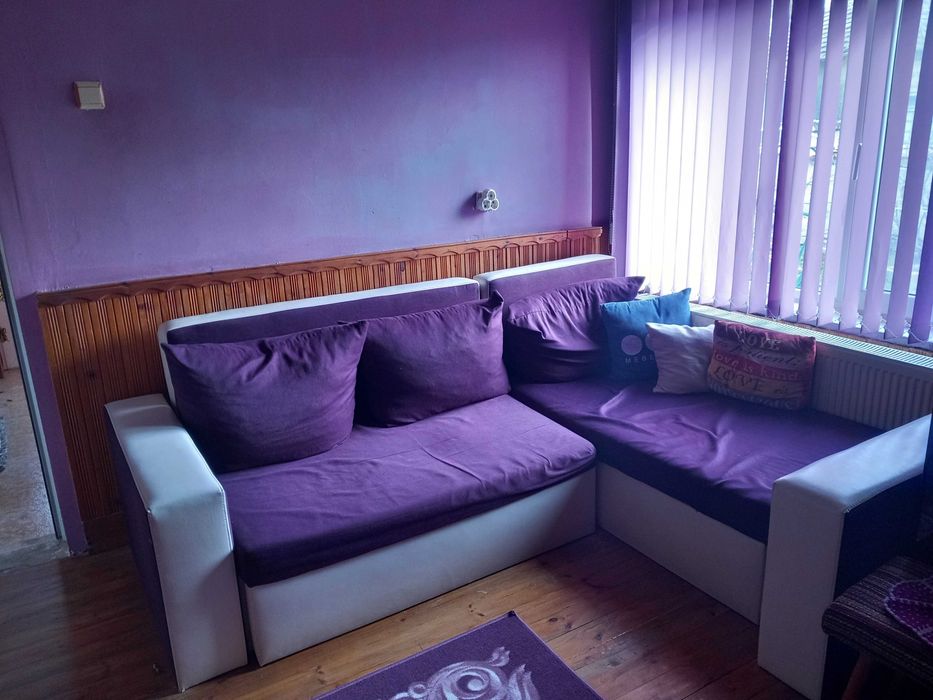 Продава се Къща в с. Дриново, Област Търговище - 160 кв.м за 223 €/кв.м - Снимка #3