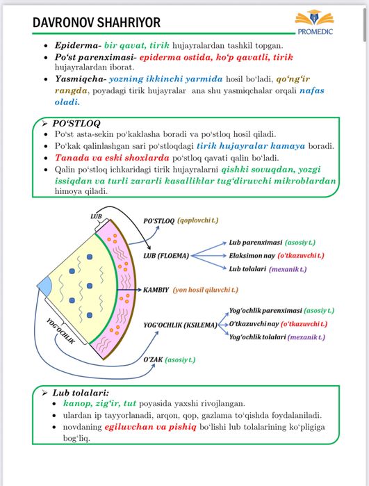 Kitoblar Milliy sertifikat uchun