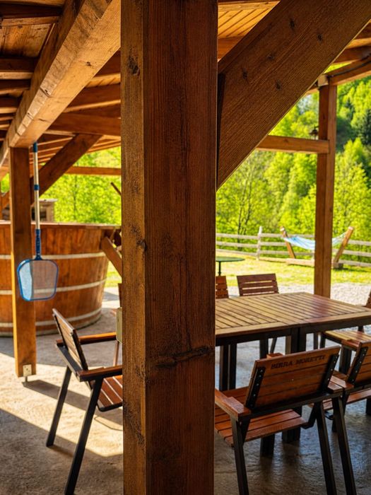 Cabana de închiriat la MUNTE