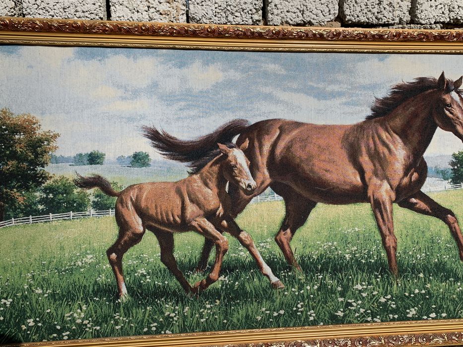 Otlarni rasmi uyda turibdi holati juda yaxshi