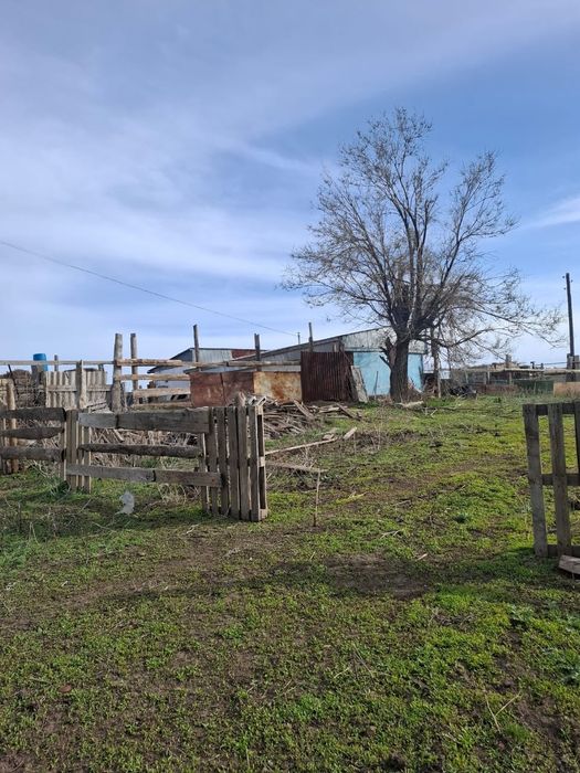 Действующее К/Х 1200гектар