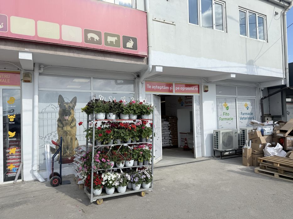 Inscriptionare auto vitrine geamuri materiale publicitare