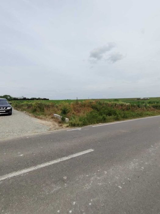 Vand teren Mariuta - Belciugatele-1000mp - Intravilan - 30€/mp-Direct Proprietar