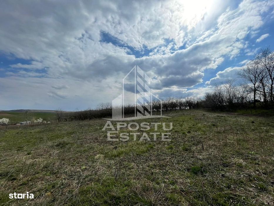 Teren intravilan pentru investitie, 2896 mp, Herneacova Timis