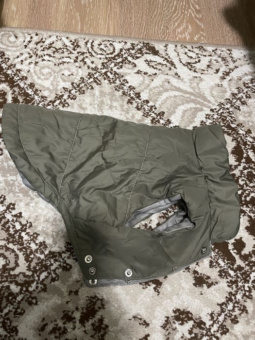 Одежда для собаки мопс